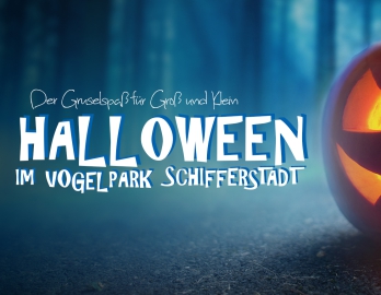 Halloween im Vogelpark 2026